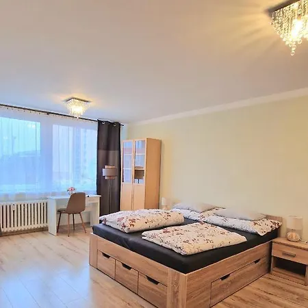 Tepla Apartment Teplice Exterior photo